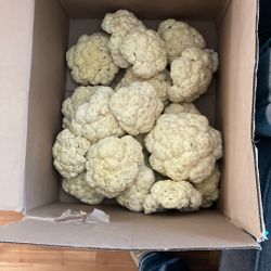 Cualiflower For 10 Dollars All Of It