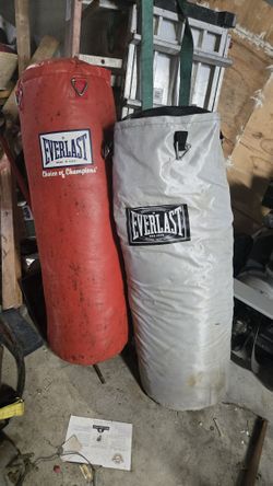 Lg Heavy Bag & Speed  Bag 