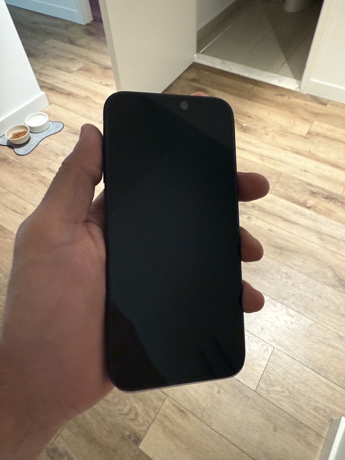 iPhone 15 Pro Max 256G