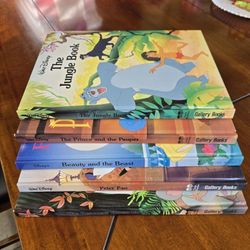 In Hollister - Set of 5 Large Hardcover Disney Books 