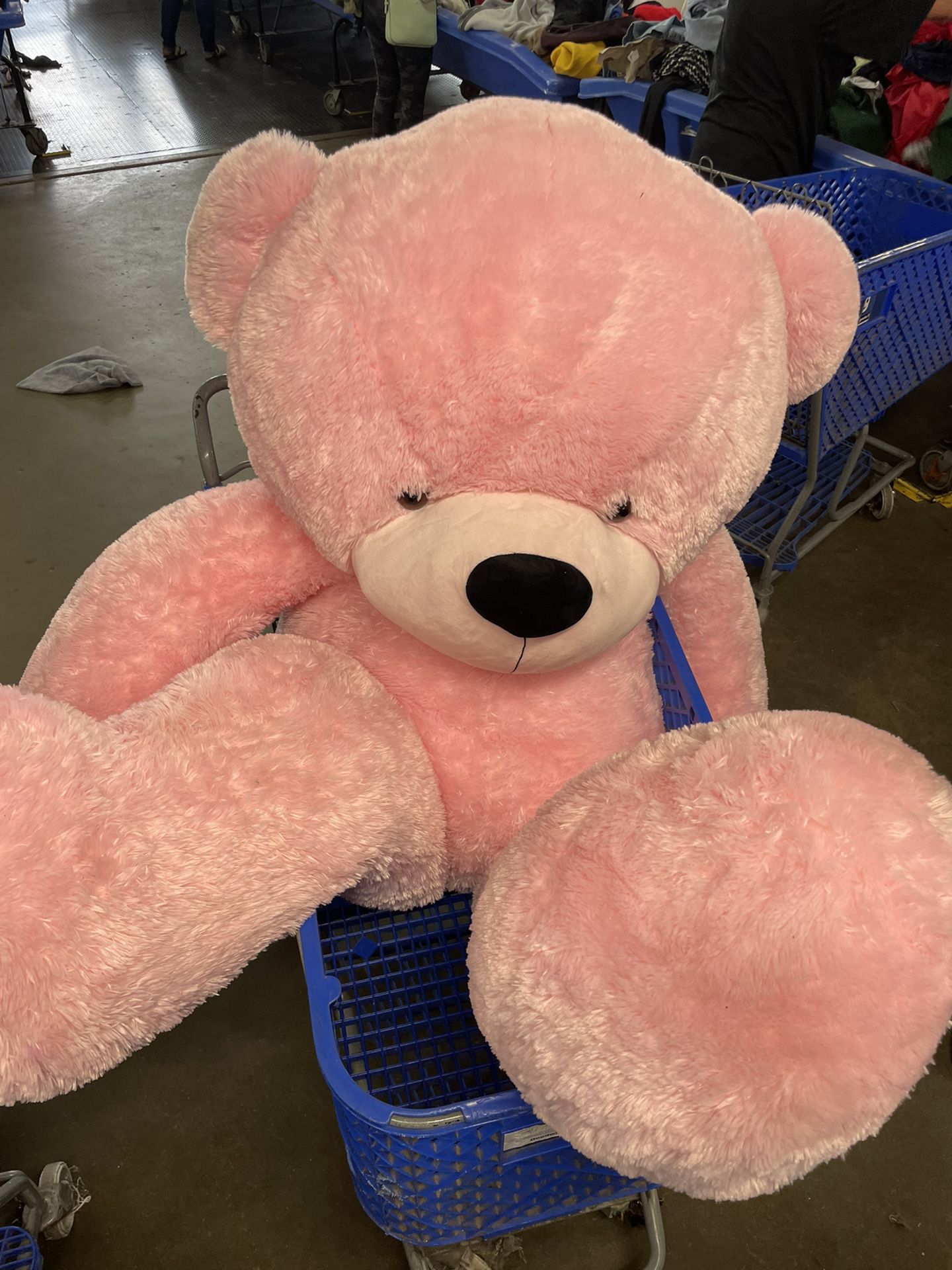 Giant Teddy 7 Feet Bear Pink Valentines Retail $300