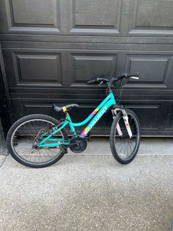 Schwinn High Timber Mountain Bike
