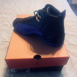Air Jordan, 12 Black And Purple