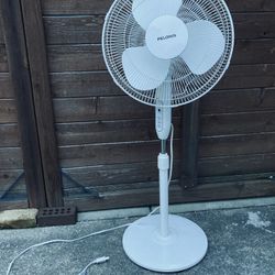 Fan