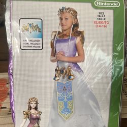 Zelda Halloween Costume 