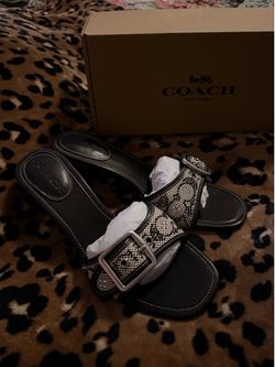 Coach kitten heels