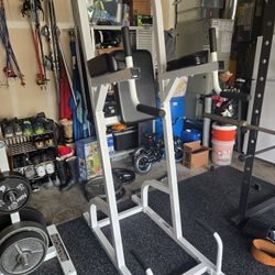 Parabody Vertical Dips/Chin Ups/Knee Raise Station