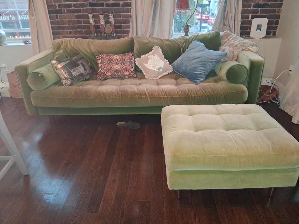 Velvety Green