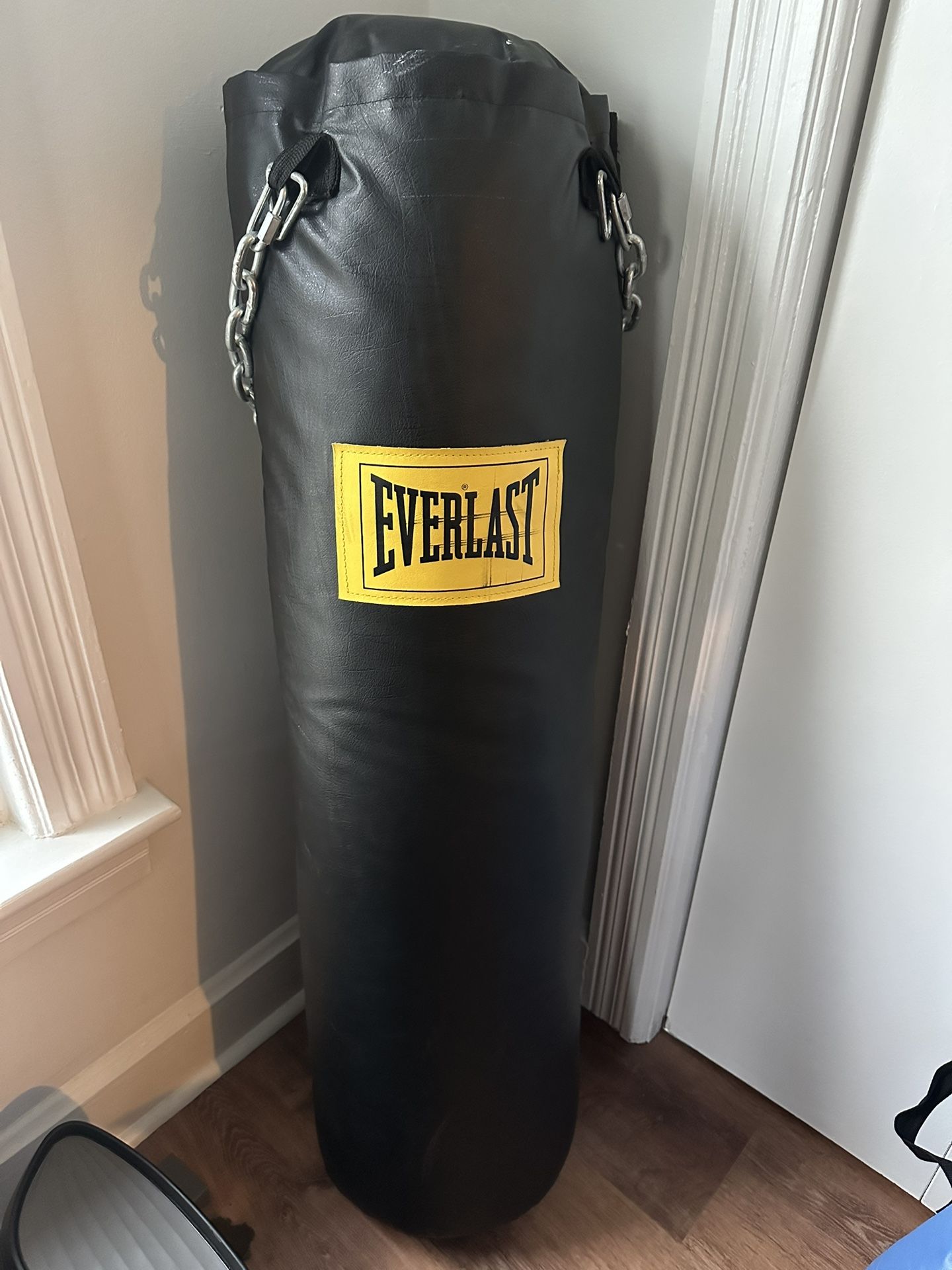 Everlast 100lb Punching Bag $50 Local Pick Up Only