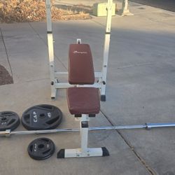 Weight Bench