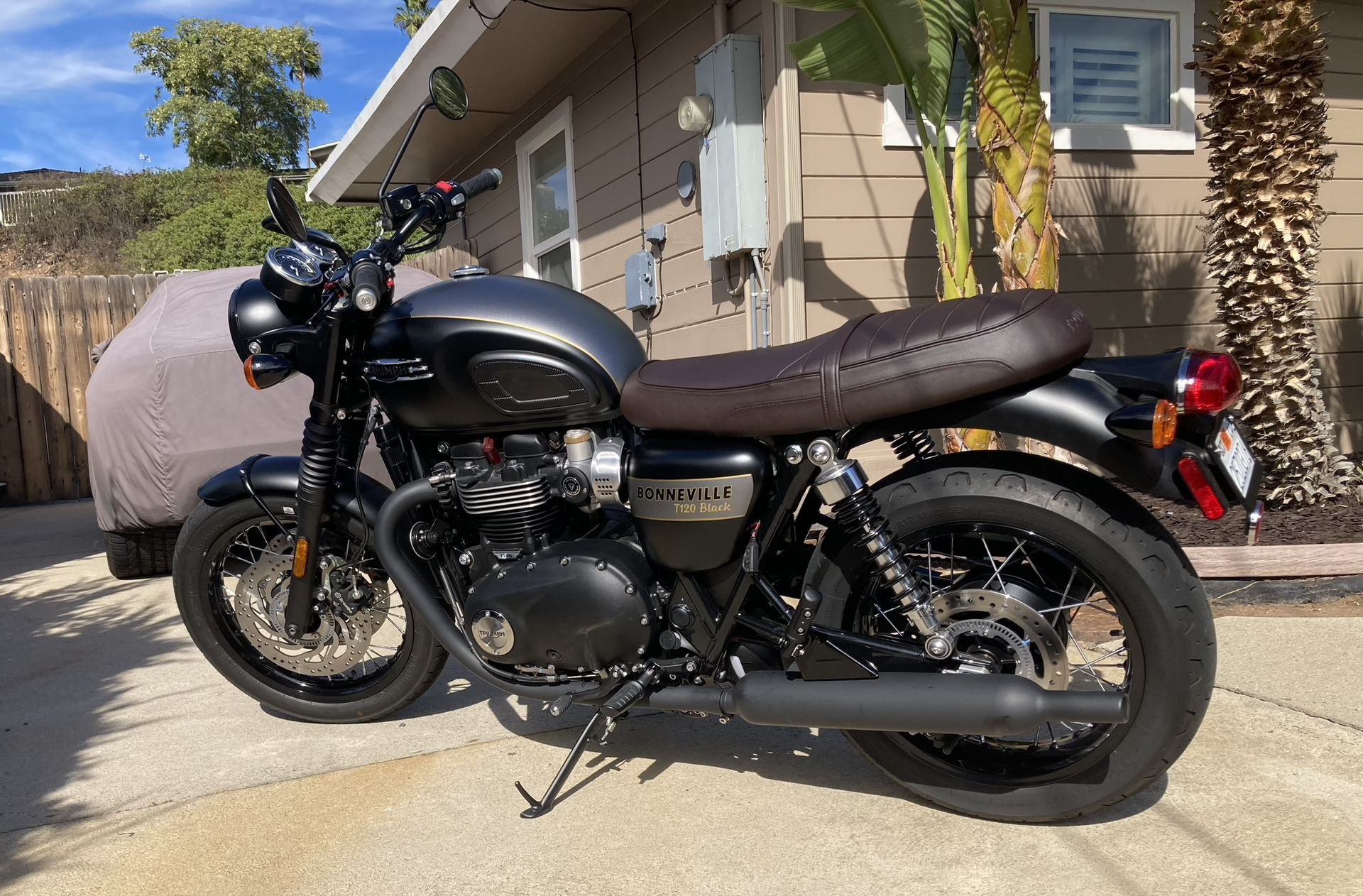 Triumph T120 Black, Gold line Edition