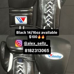 Boxing Gloves $100