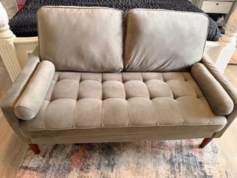 Small Velvet Loveseat
