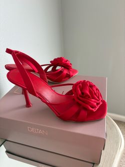 Beautiful red dress shoe