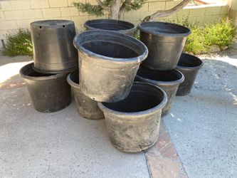 #25 Nursery Pots (17 Available)