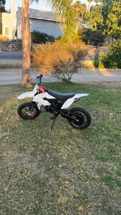 Mini bike