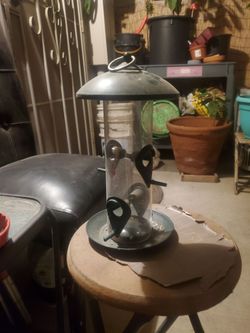 Free bird feeder