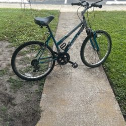 26 Ladies Bike Evrynthy Works