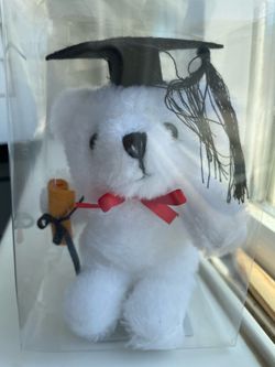 graduation bear