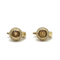 18K YG 6.9G Earrings EPJ028479