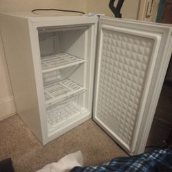 Mini Freezer 