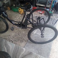 36 Volt Electric Three-wheel Bike Not Many Miles Needs 36 Volt 2 Amp Charger WillRode