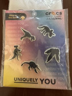 Dinosaurs Crocs jibbitz charms