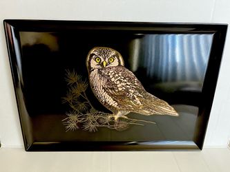 Vintage Couroc of Monterey Owl Tray Plate Black Inlaid Resin California USA MCM 18 x 12.5