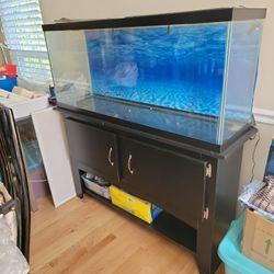 55 Gal Fish Tank