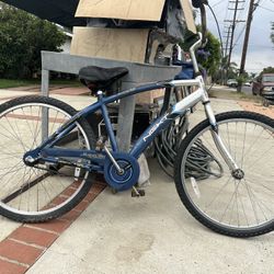 Beach Cruiser 