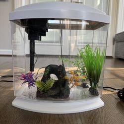 Aqueon Fish Tank 5 Gal