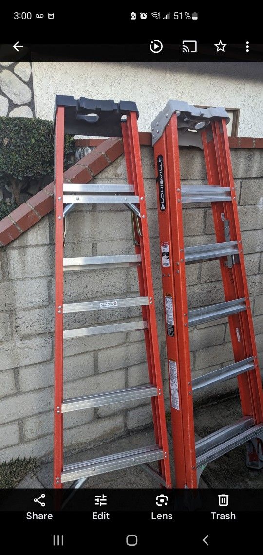 6' Foot Ladder