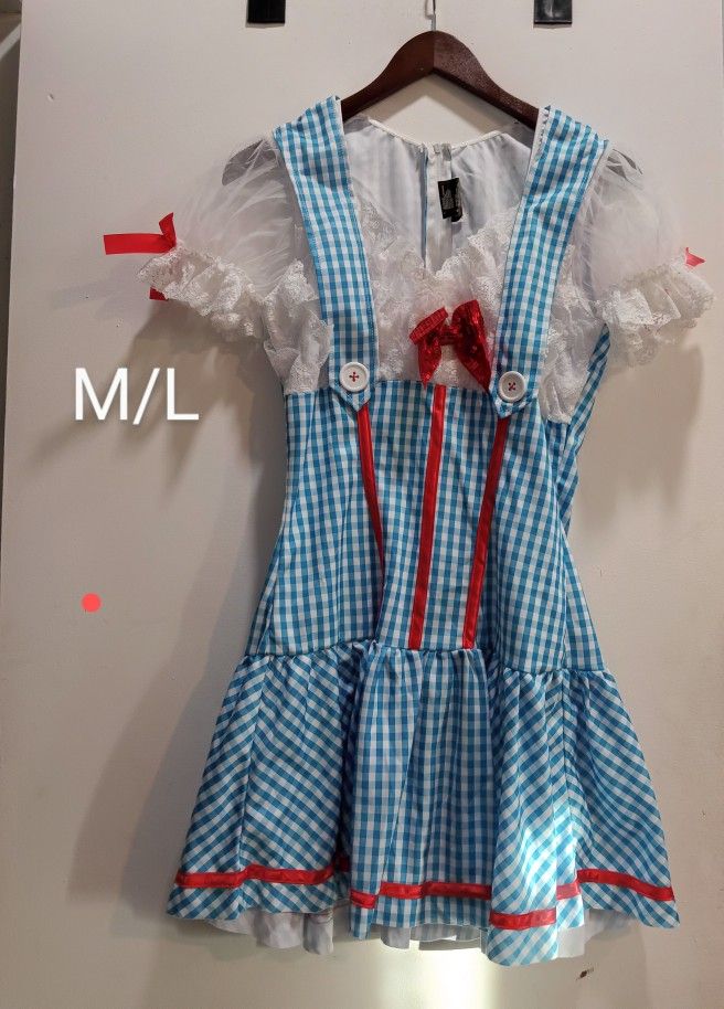 Women's Wizard Of Oz Costume Size M/L