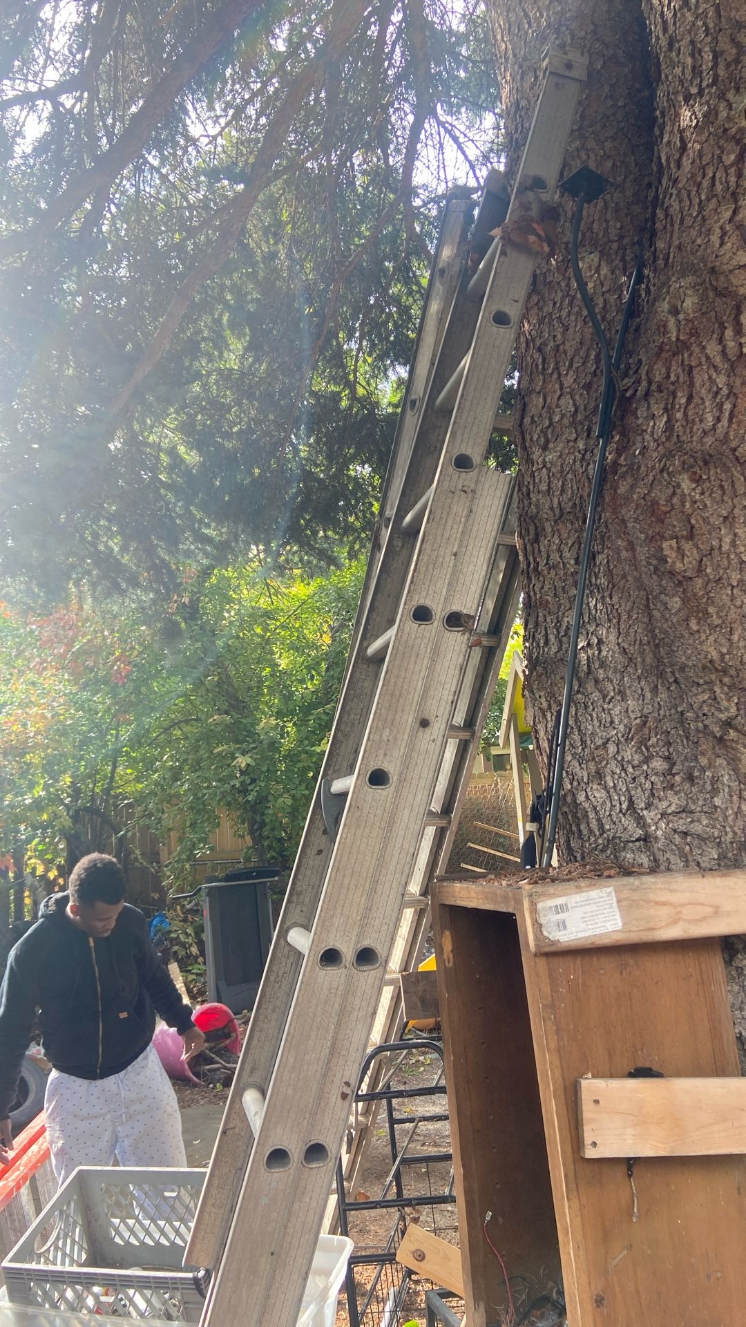 Ladder