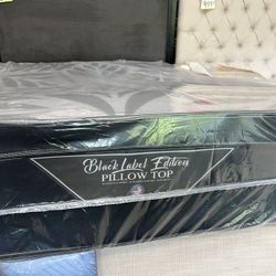 Queen Single Pillow Top Mattress 