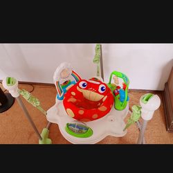 **$25**Org $69 Fisher Price Jumperoo 