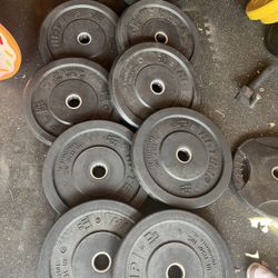 Rep Fitness Hi Temp Olympic Weights Bumper Plates