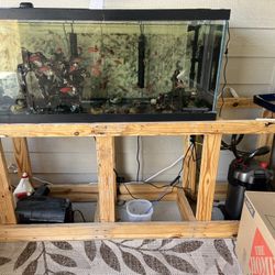 fish tank