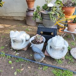 Plant Sale Open Now Everything Is For Sale 