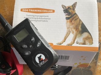 Dog Training Collar