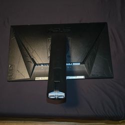 Asus Monitor 