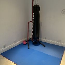 Punching Bag With Stand With Gloves And The MatS