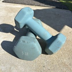 Pair of 5 lbs hand weights