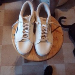 Pumas