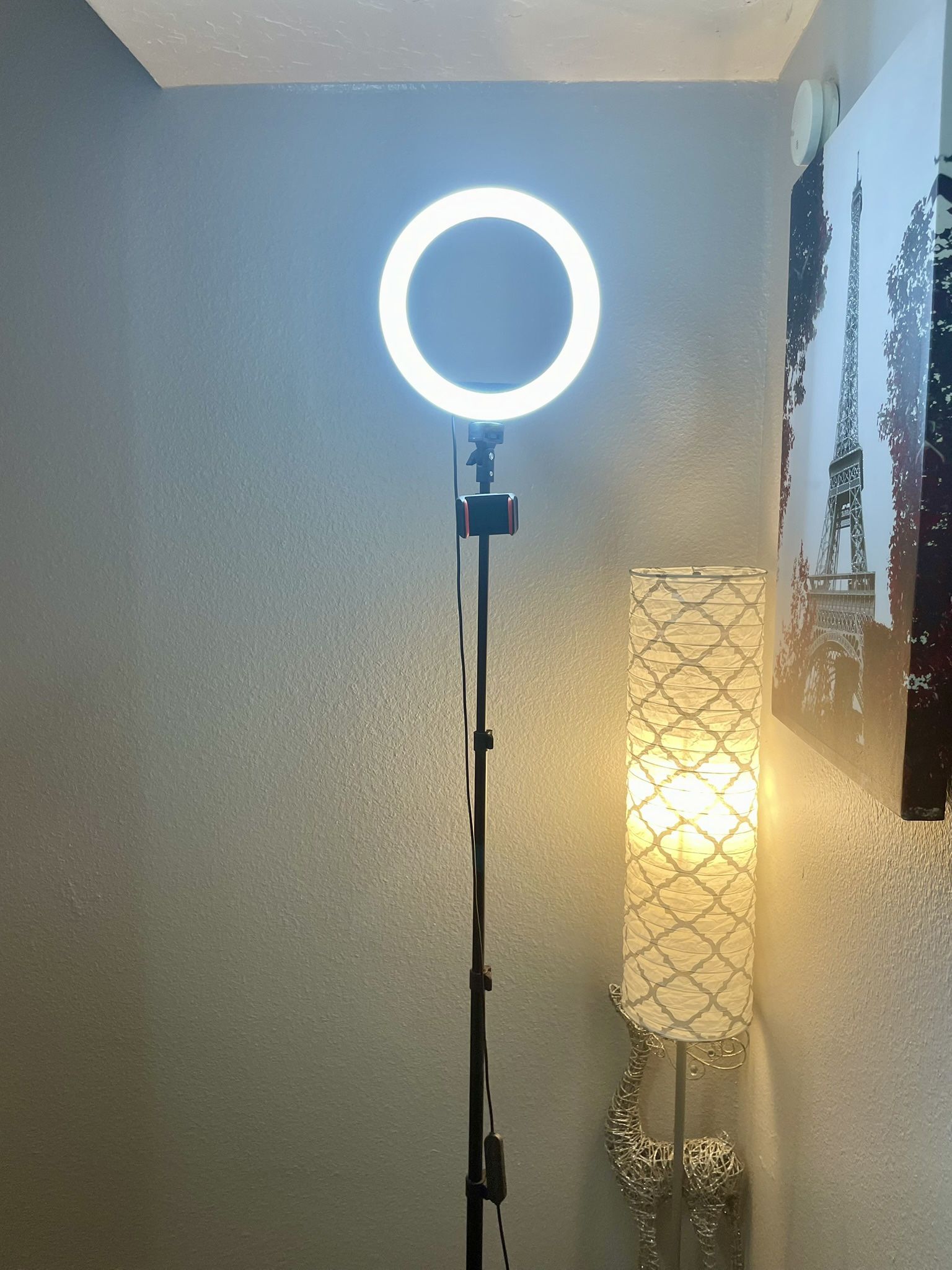 Ring lite