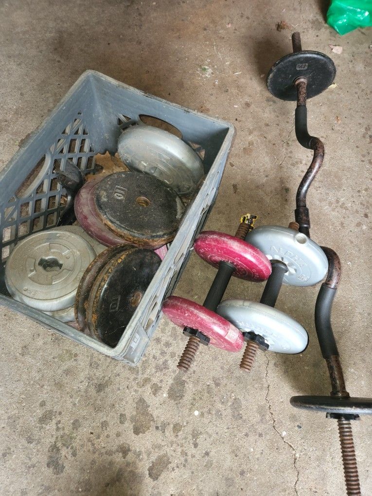 Weights And Curling Bar