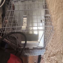 Animal Removal Service 