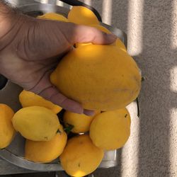 Sweet Lemons