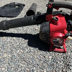 Leaf Blower/vacuum