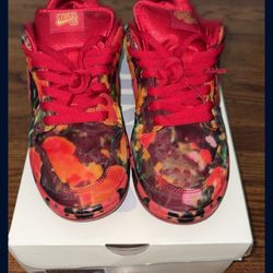 The Wizard of Oz x Dunk Low SB